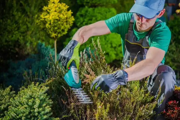 landscaping services Flint Hill